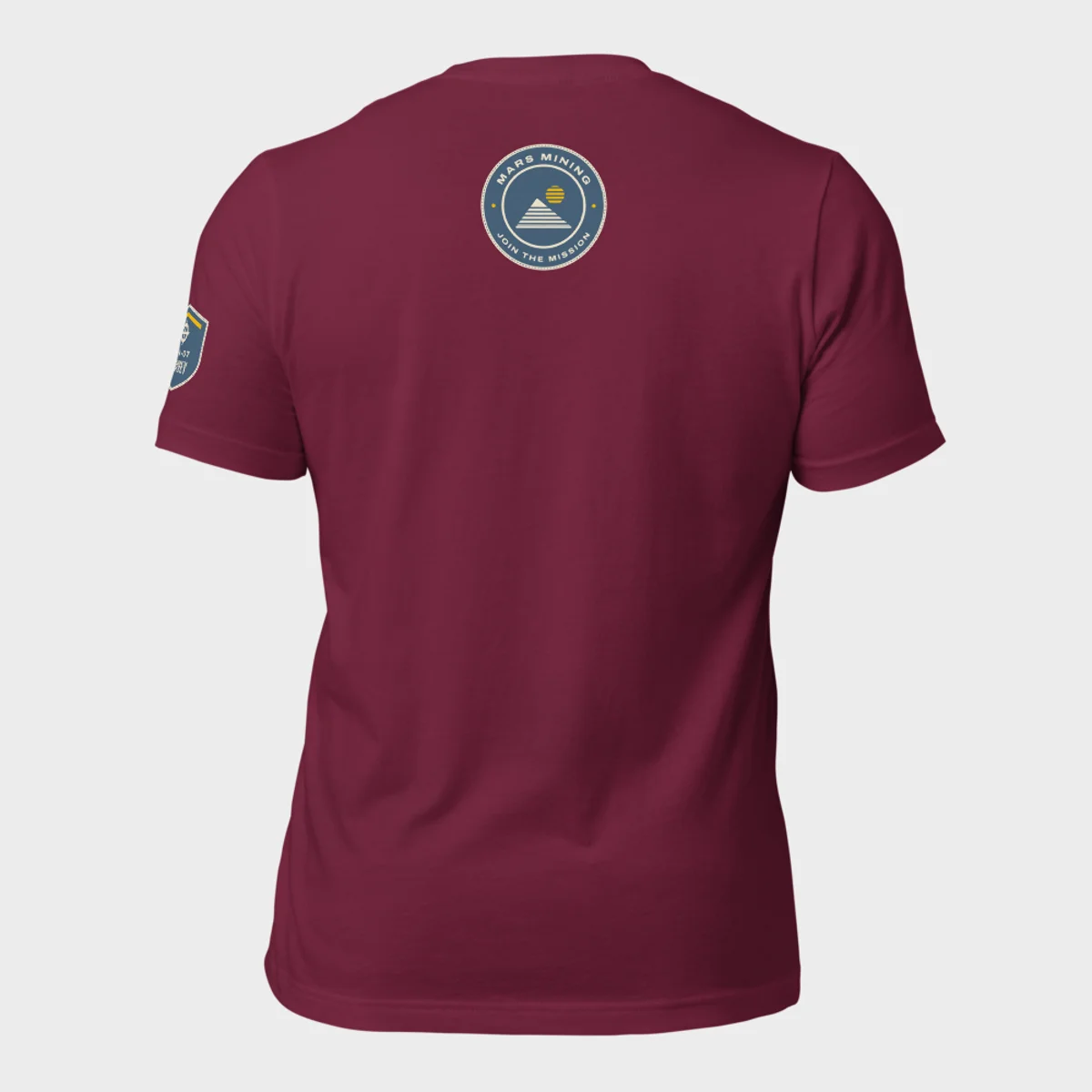 Back of the Survey tee: the round Survey department badge below the collar